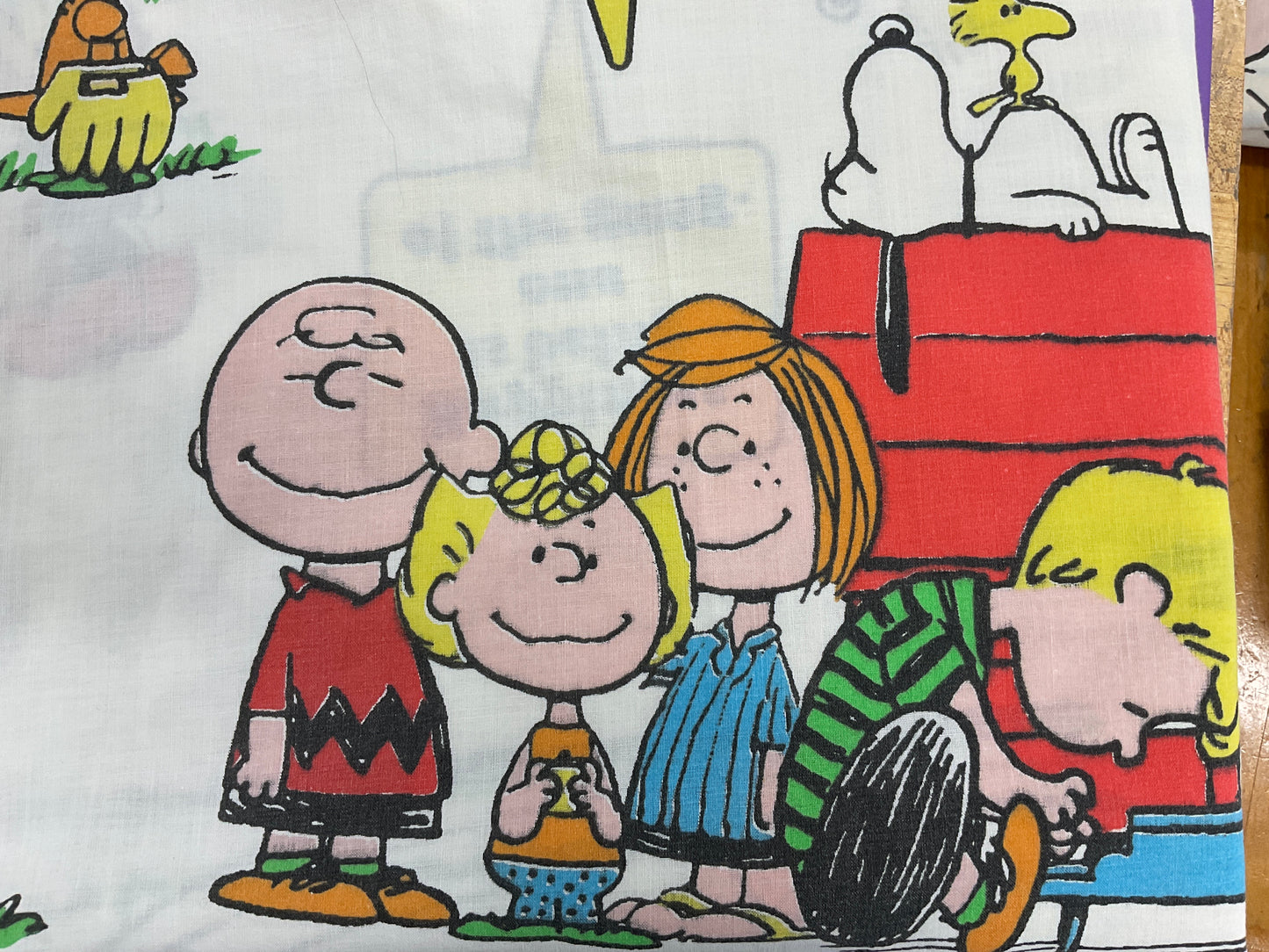 Top sheet — peanuts vintage 96 x 66