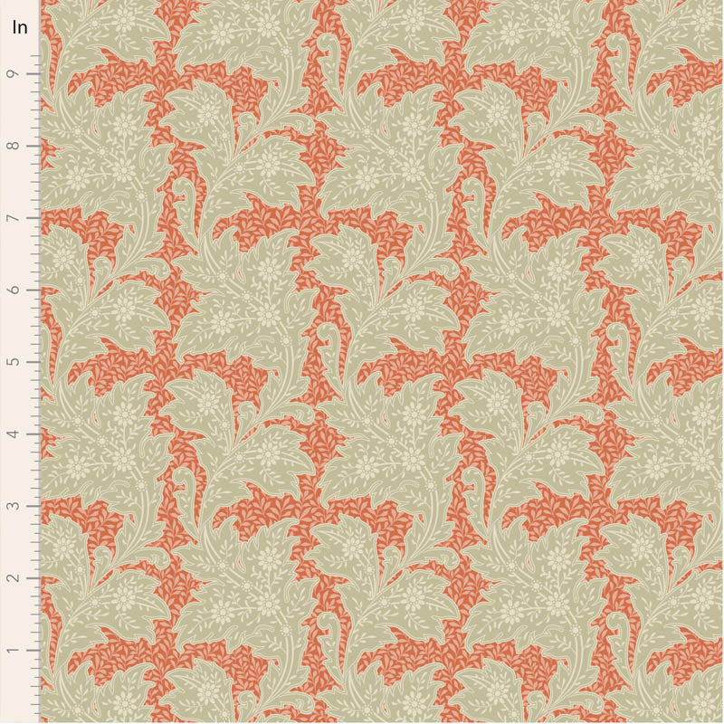 Songbird-Stella (Coral)