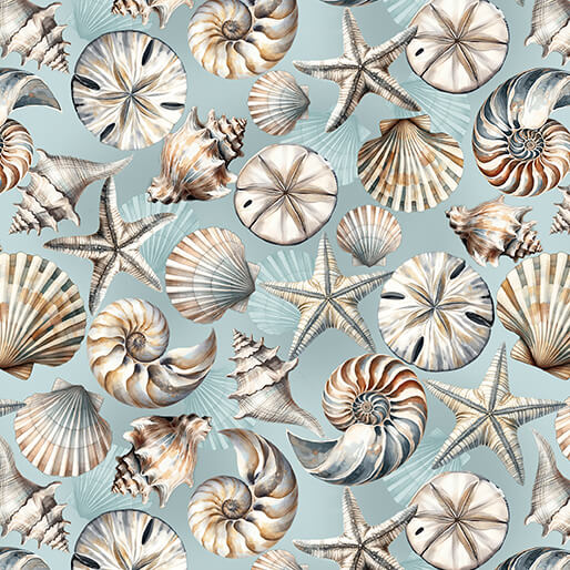 Coastal Shells Ocean