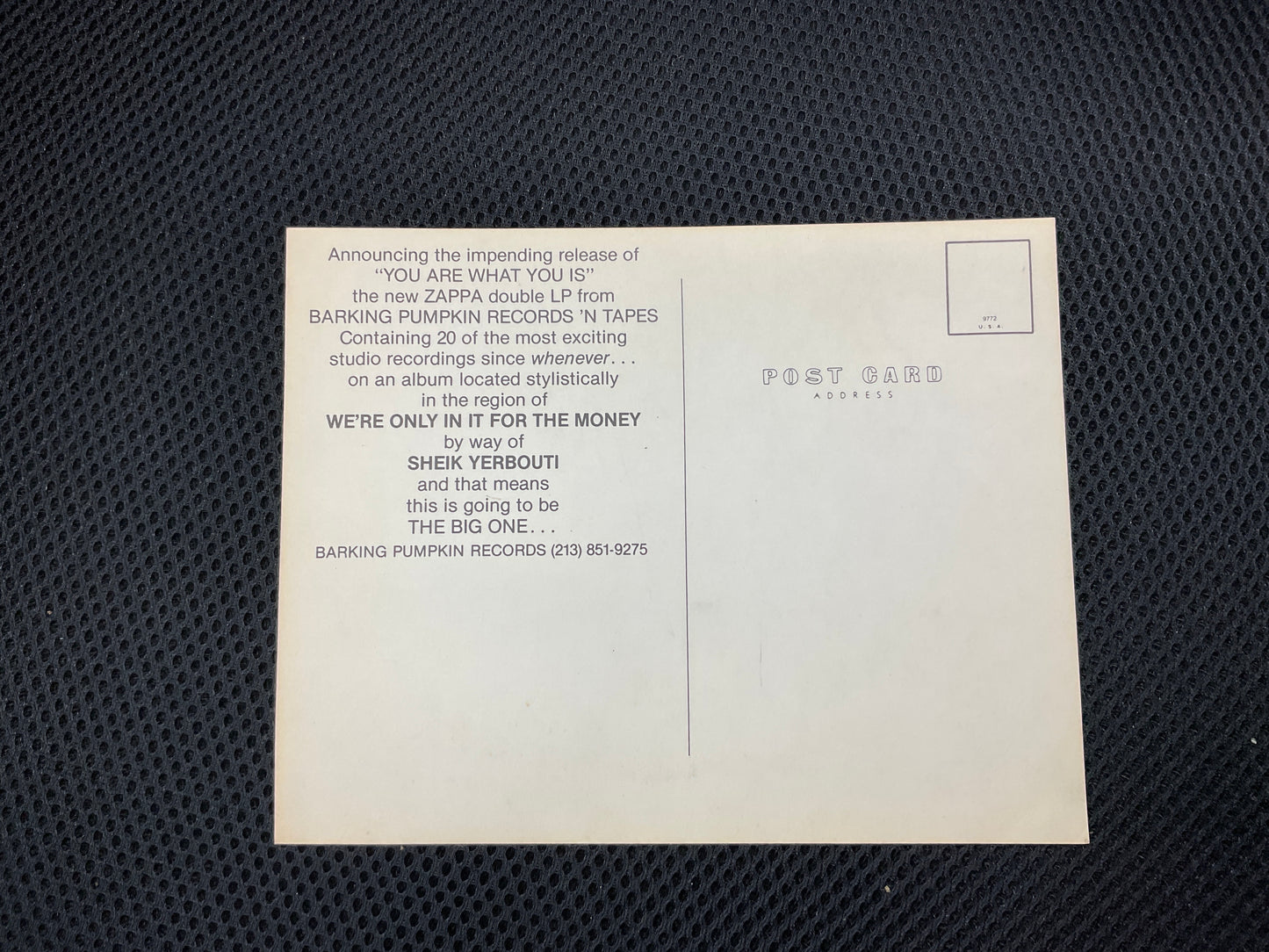 Vintage frank zappa postcard
