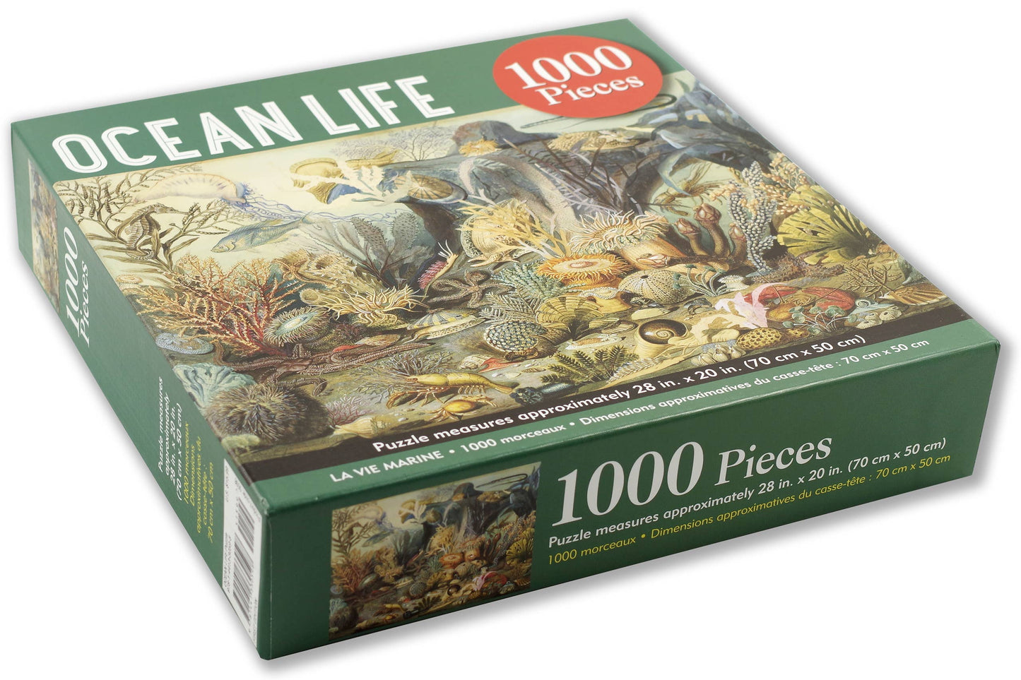 Ocean Life Jigsaw Puzzle