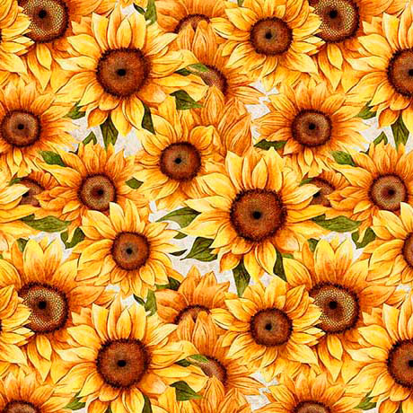 SUNFLOWER SERENADE-PACKED SUNFLOWERS-Wideback