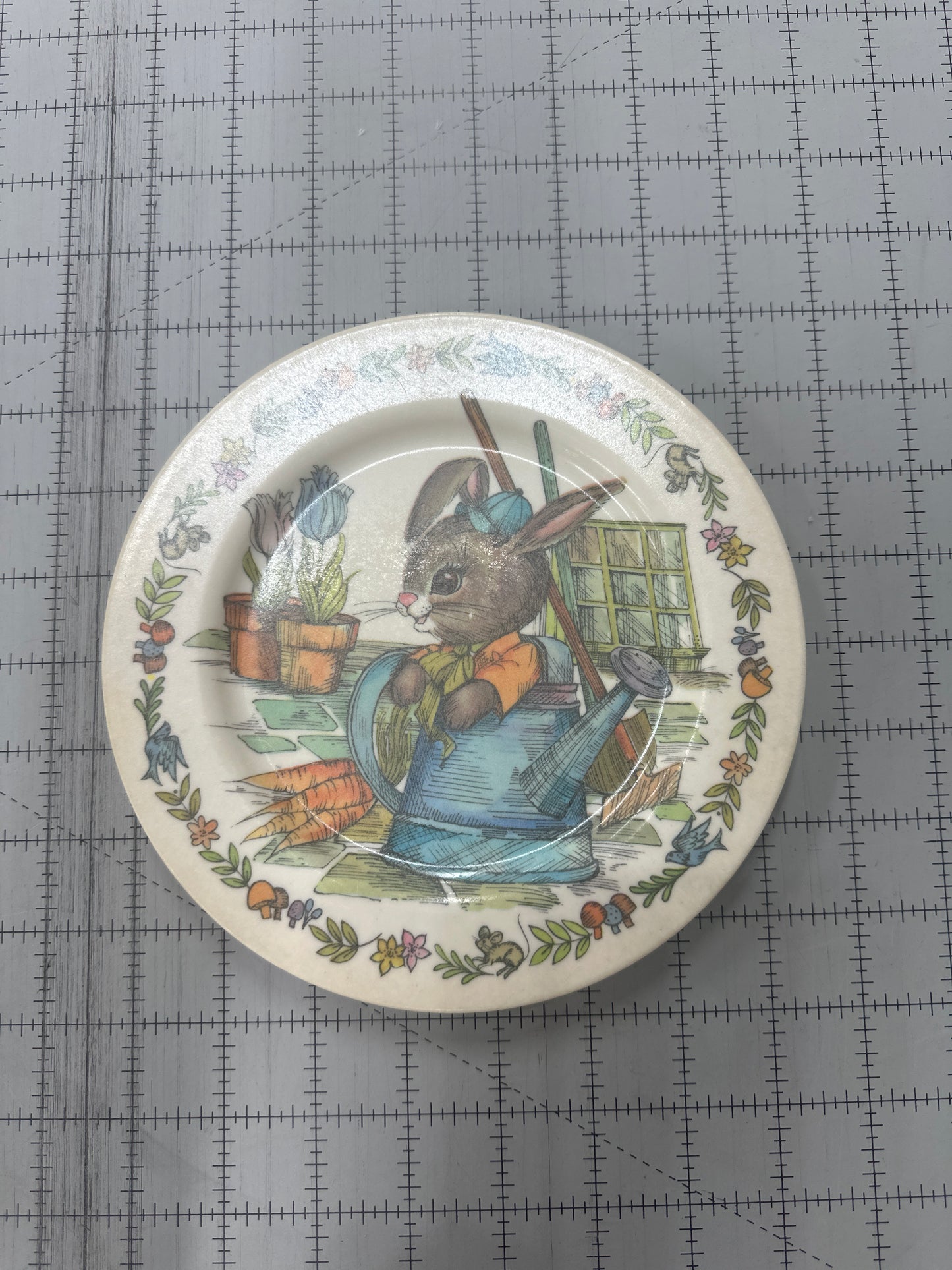 vintage 1970s Oneida Deluxe Peter Rabbit children's melamine plate