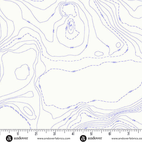 Topography (Pond)