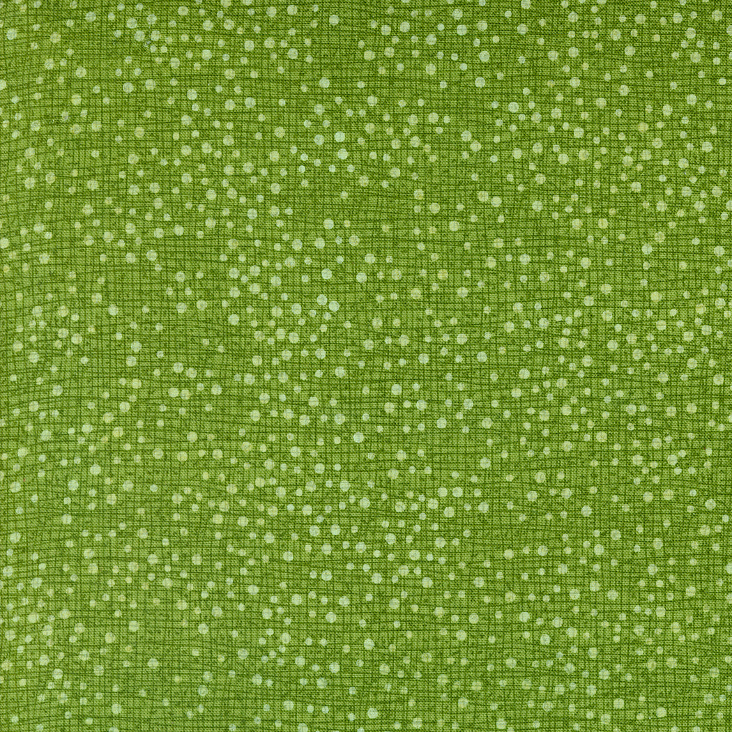 Dotty Thatched Grass 48715 197 Moda