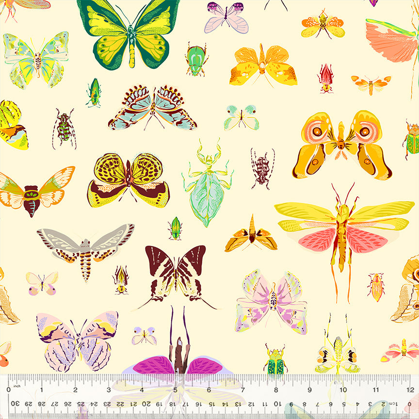 Insectarium - Light