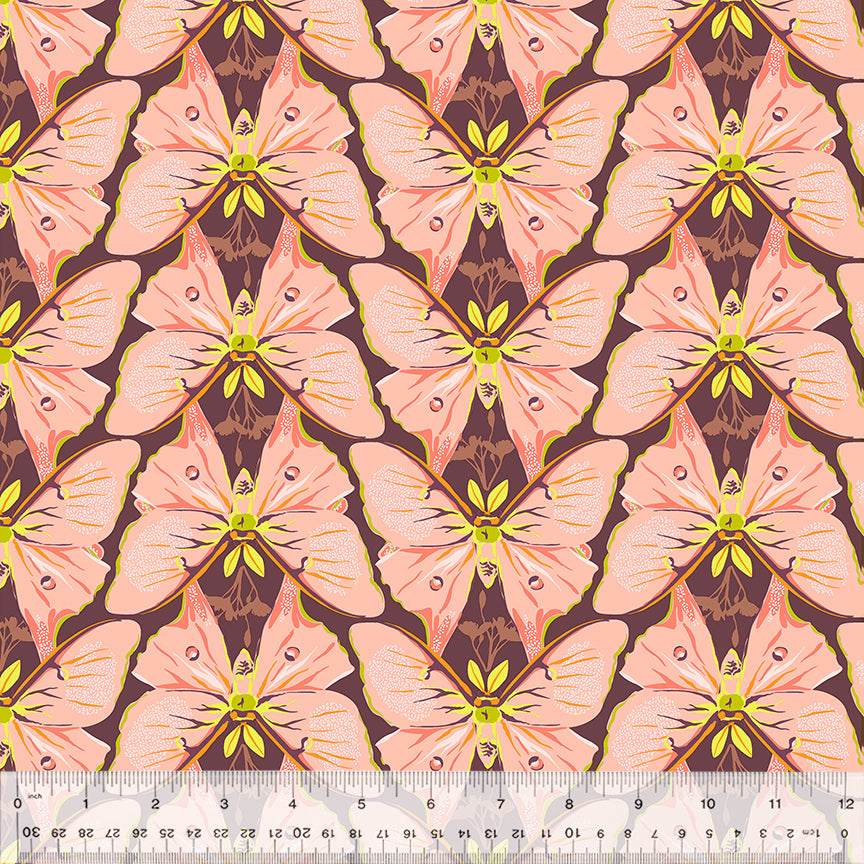 Insectarium - Pink