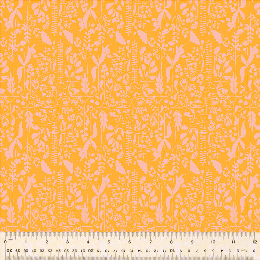 Insectarium - Orange