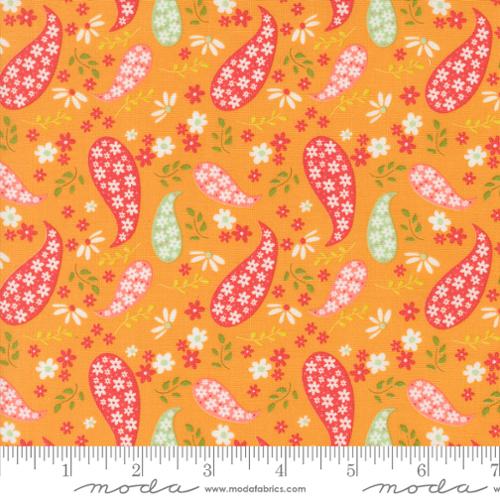 Raspberry Summer (Paisley-Apricot)