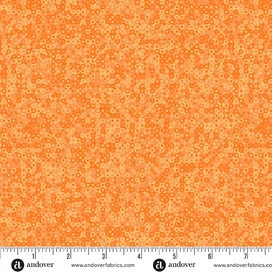 Fairy Rings - Pumpkin