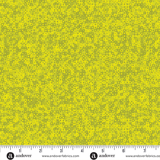 Fairy Rings - Chartreuse