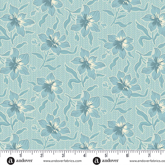 Lilly (Glacier)