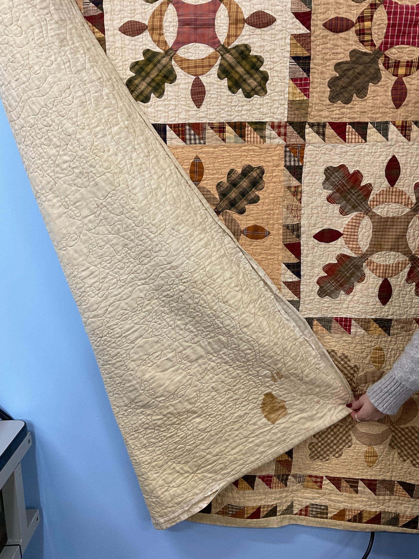 New Appliqué Quilt by Local Quilter