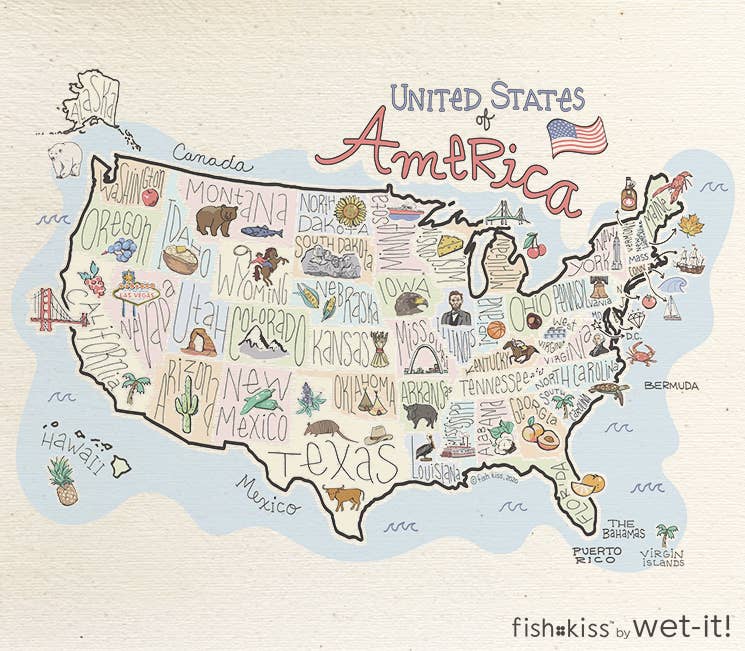 Fishkiss USA Swedish Cloth