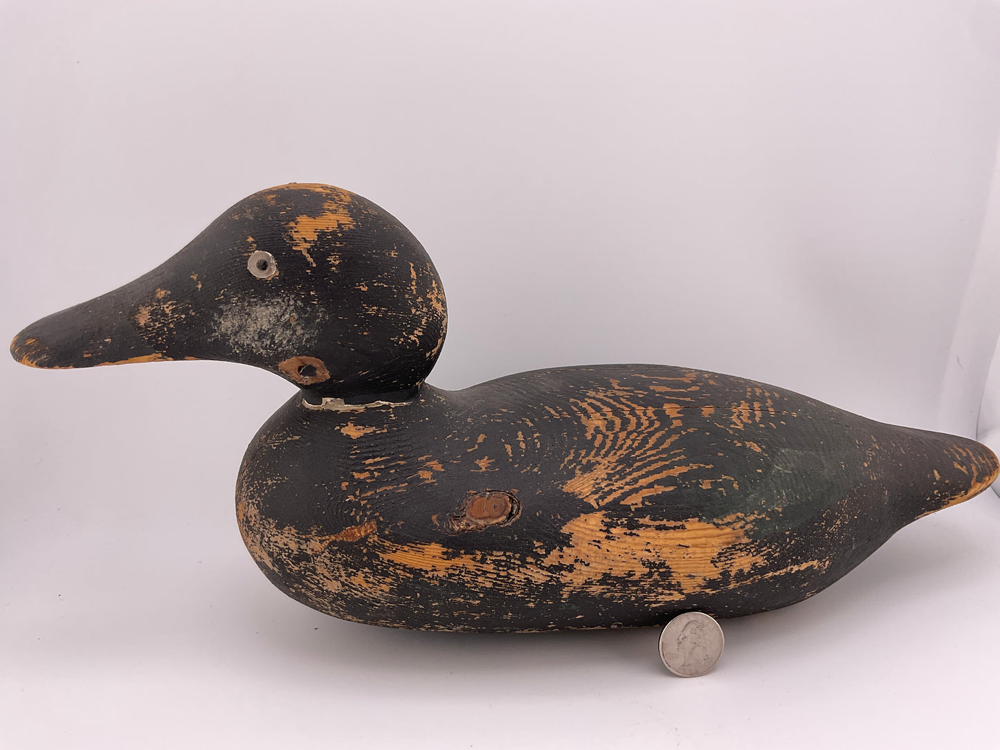 Factory black duck decoy