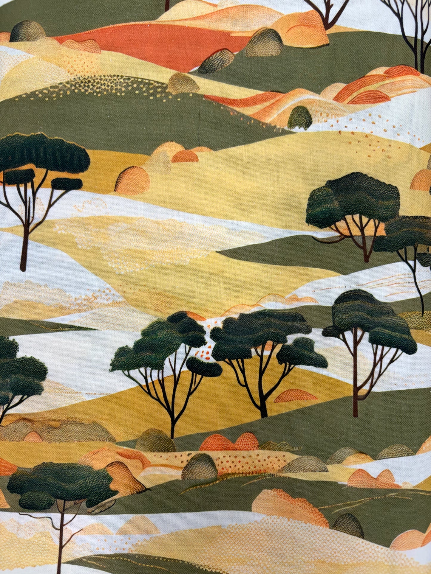 African Landscape