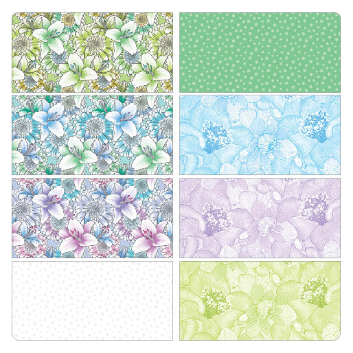 Bloom Bright Kit