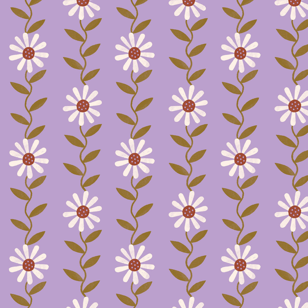 Daisy May-Purple