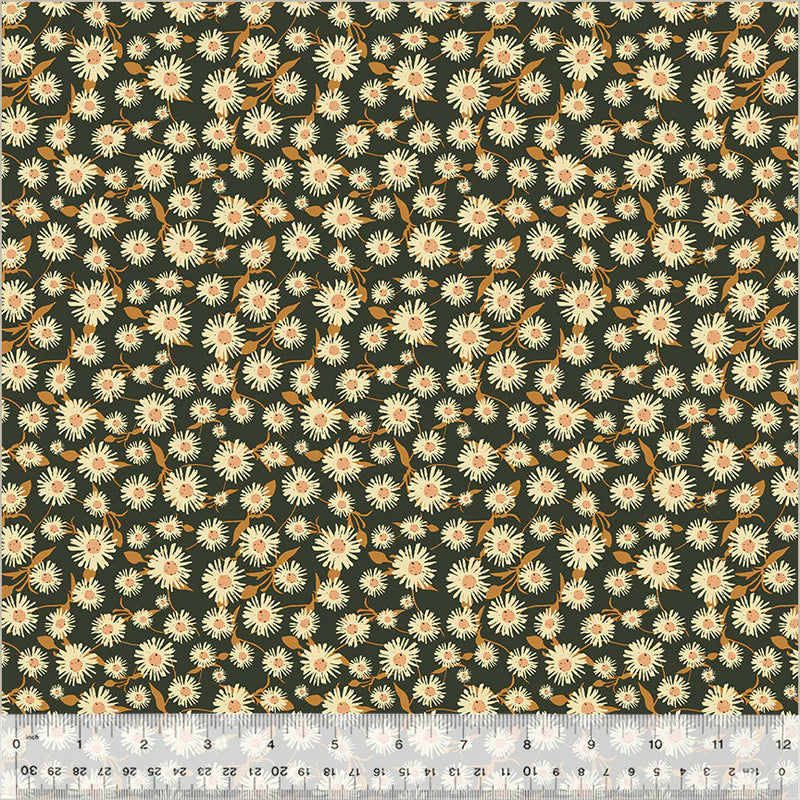 Daisy Dance (Midnight)