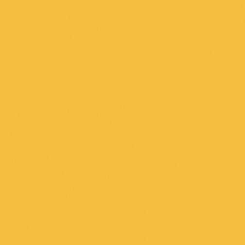 Superior Solids-Ginger