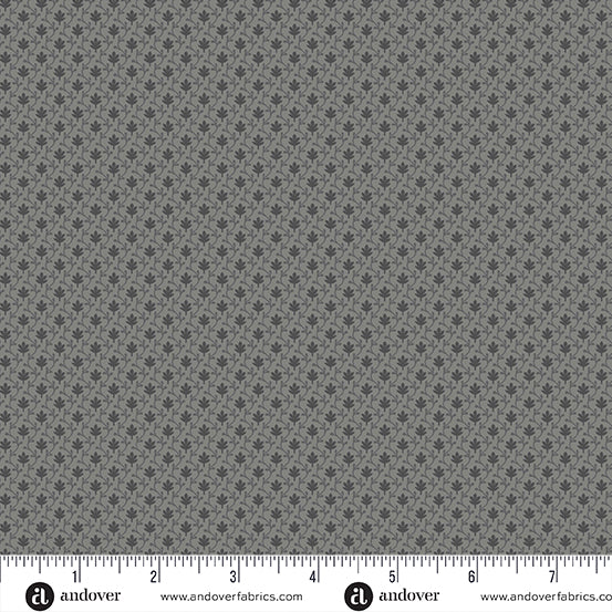 Century Grays-Gray Vine