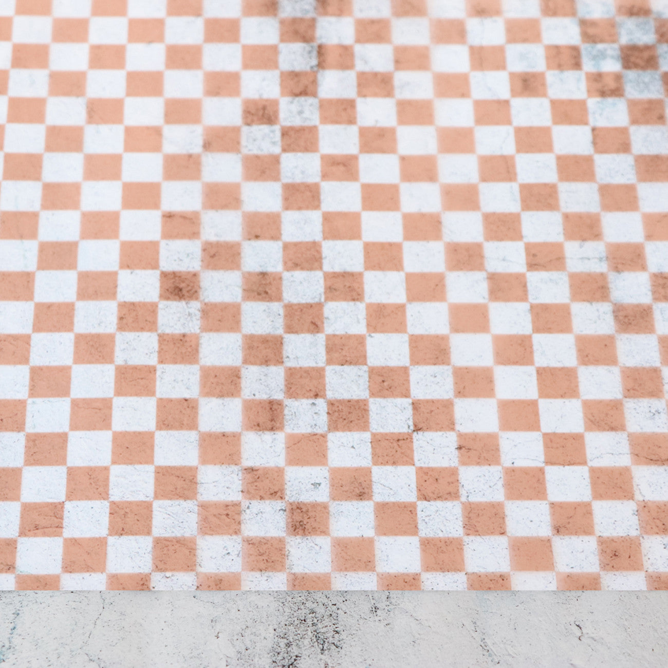 Sallie Tomato Clear Vinyl (Apricot Checkerboard)