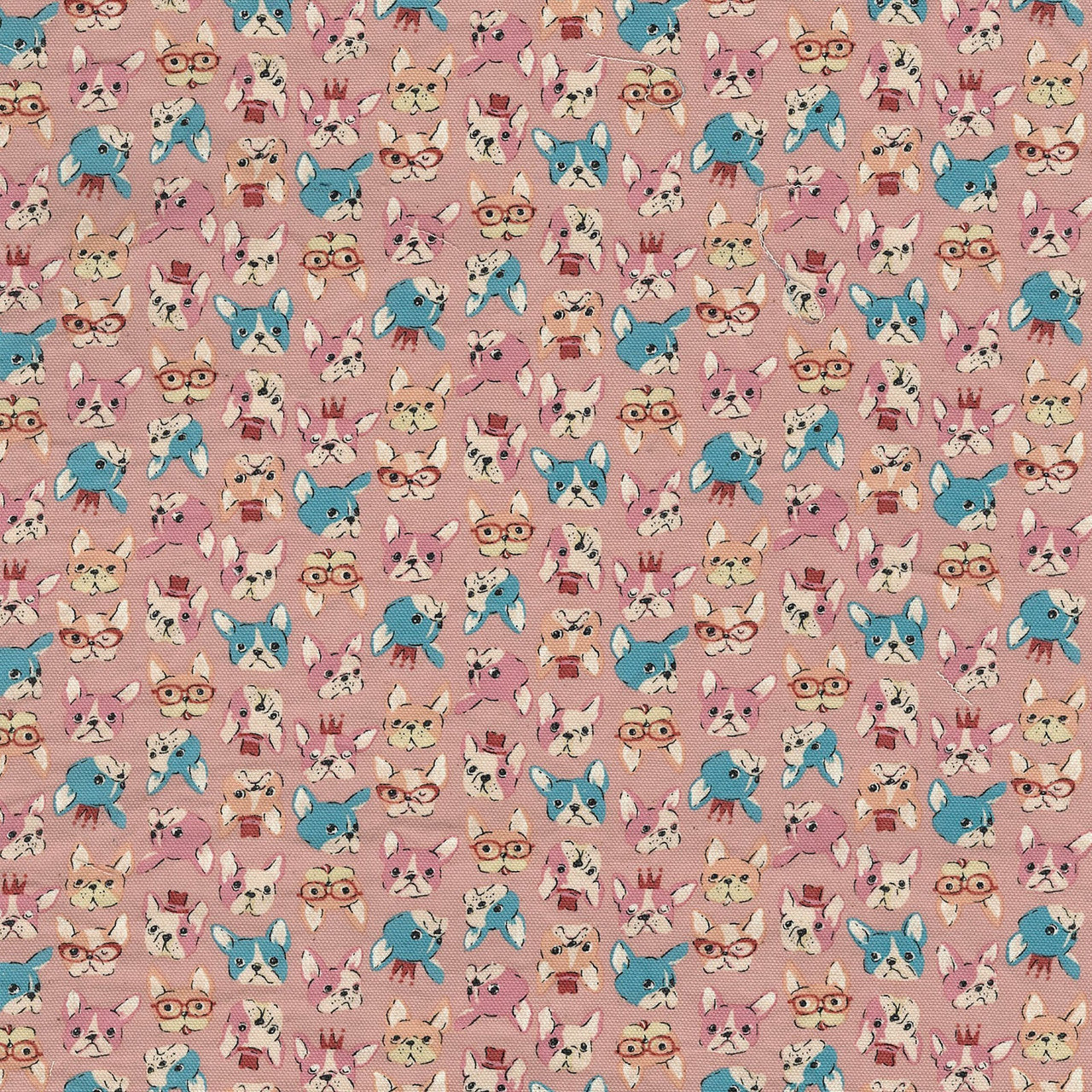 Chibi Petit - French Bulldog