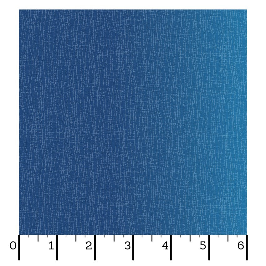 Gelato - Dark Blue/Light Blue