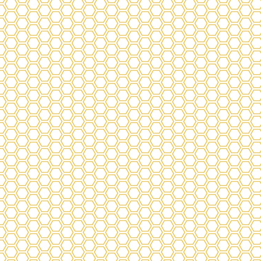 KIMBERBELL BASICS 8256 S