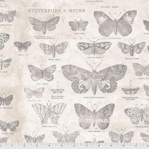 Butterflies-Parchment || Tim Holtz Monochrome