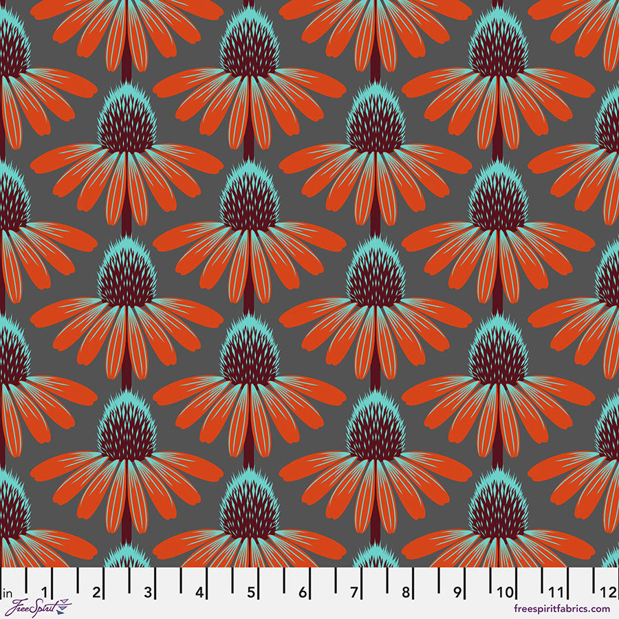 Echinacea - Berry || Love Always, AM