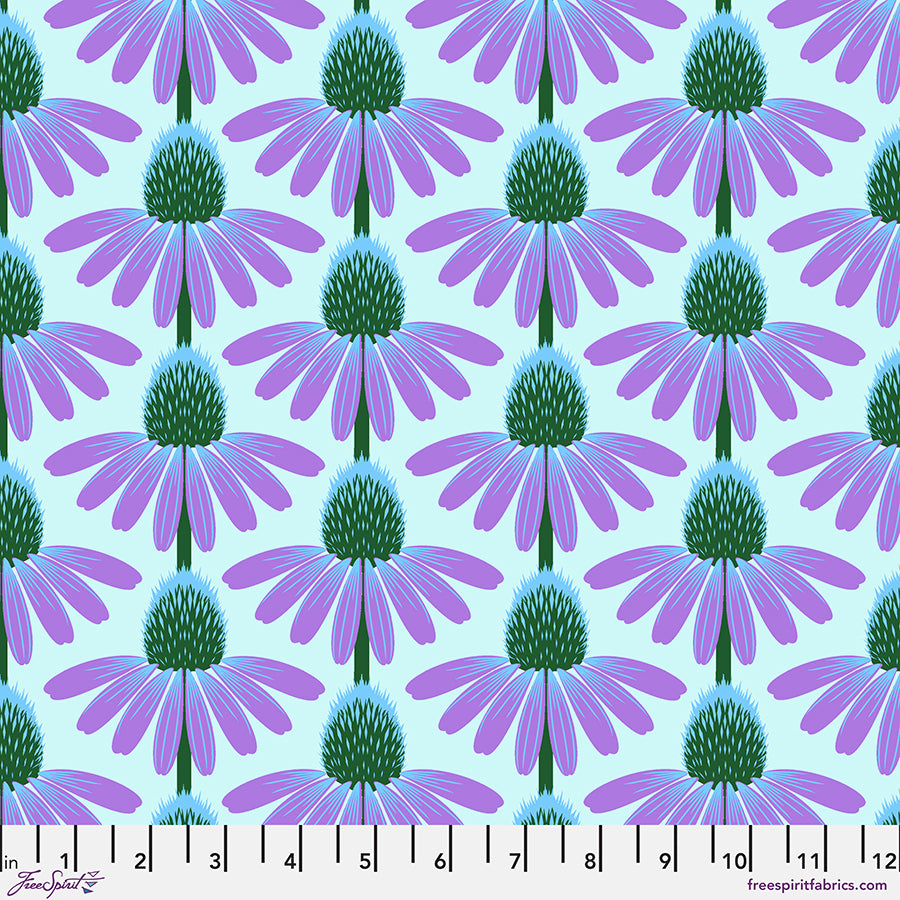 Echinacea - Grape || Love Always, AM