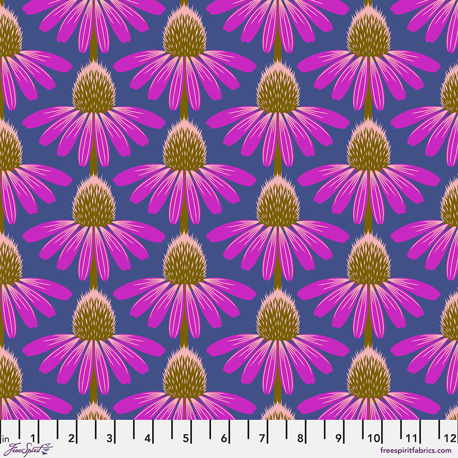 Echinacea - Haute || Love Always, AM