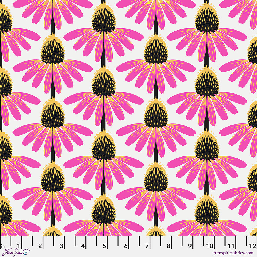 Echinacea - True || Love Always, AM