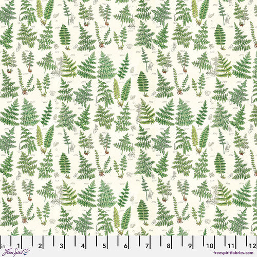 Green-Ferns || Tim Holtz Palette Green
