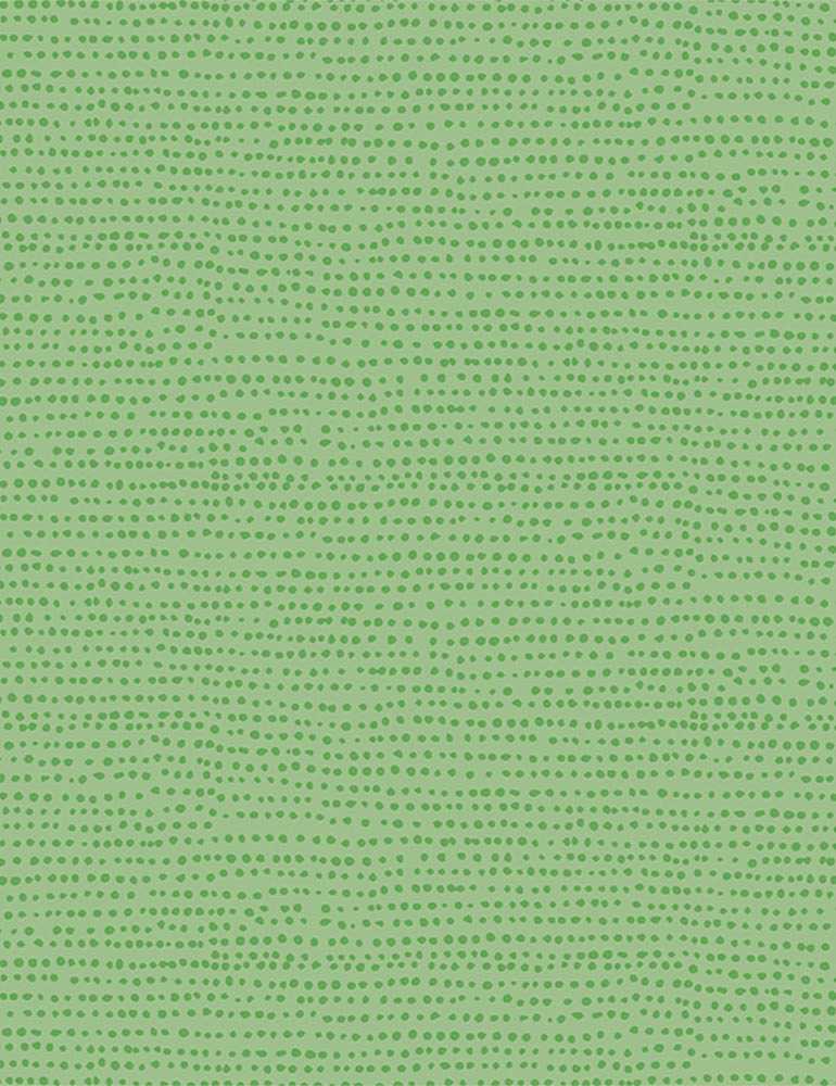 Dear Stella-Moonscape (Kiwi)