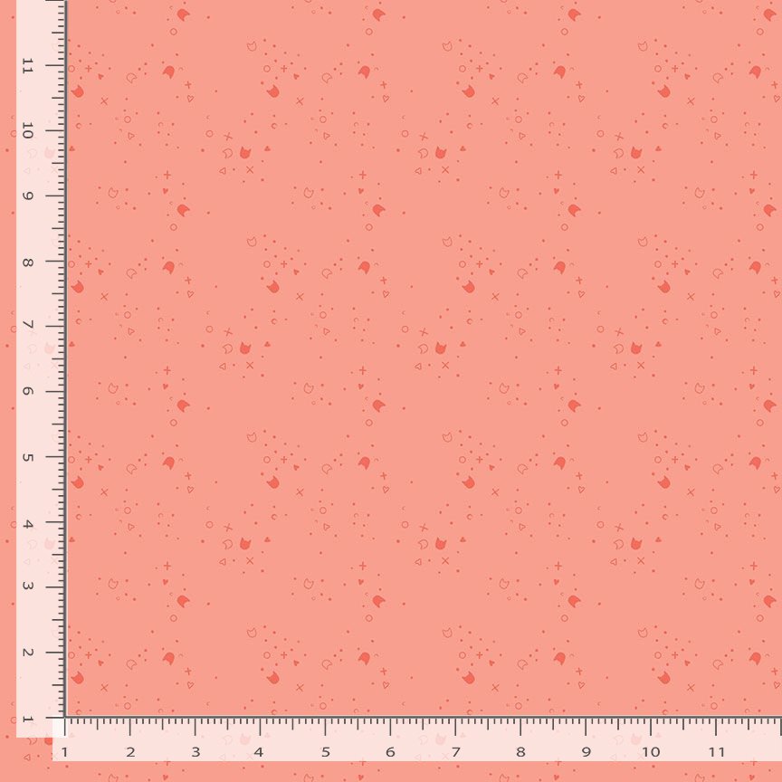 Kitty Litter || Salmon
