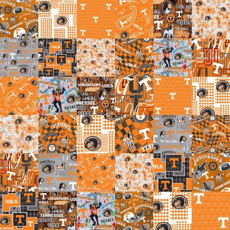 University of Tennessee (Cheater Quilt)