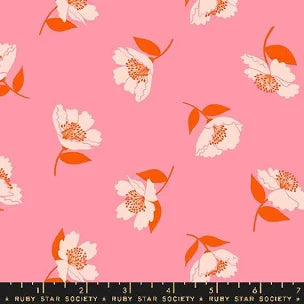 Juicy-Fluttering (Sorbet)