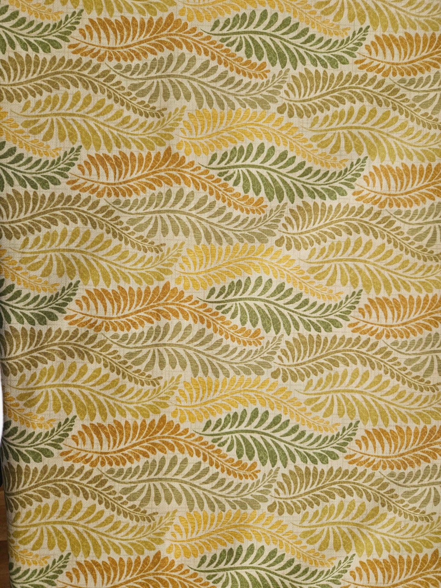 Meadowlark by Jennifer Brinley