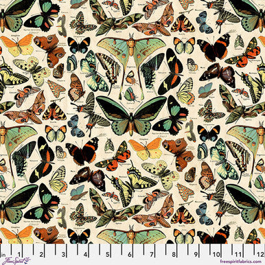 Teal Butterflies Canvas - Teal