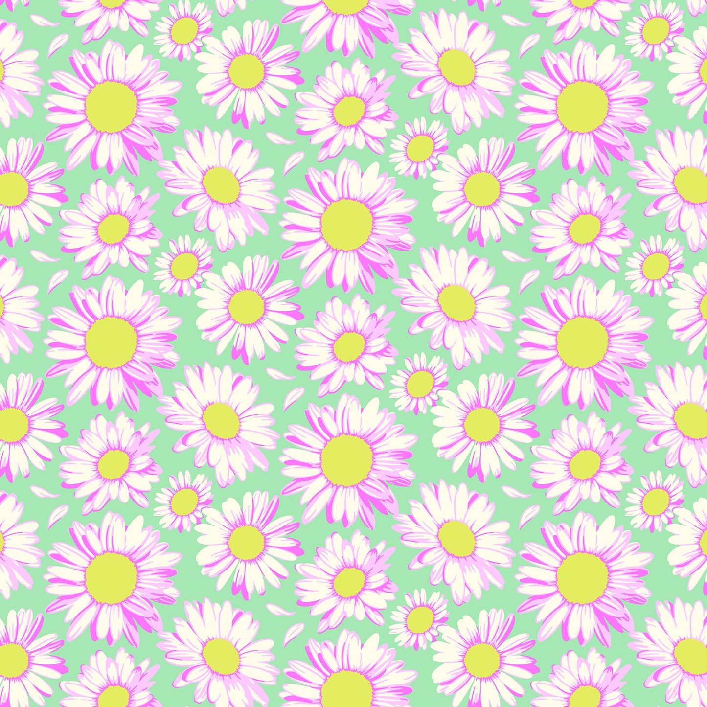 DAISY CRUSH - SKY