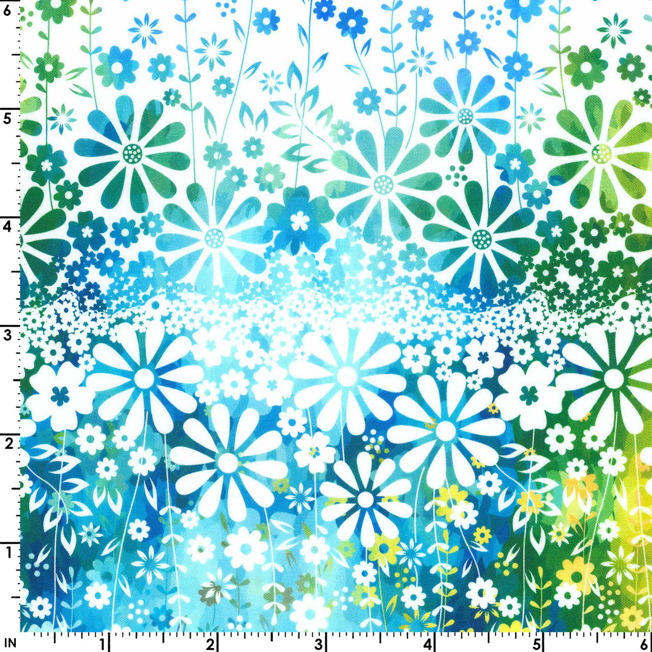 Felicity Border (White)
