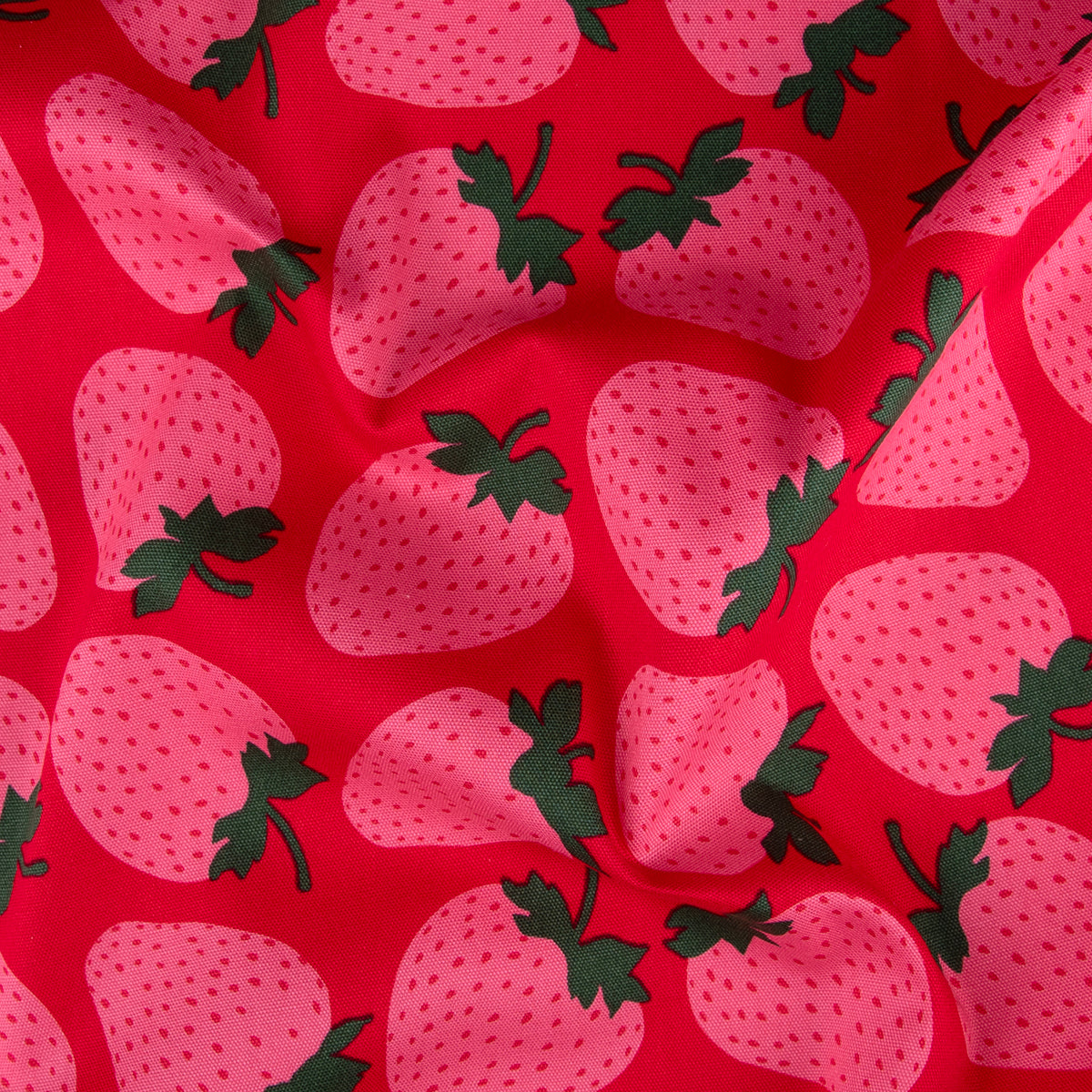 Strawberries in Grid (Red)