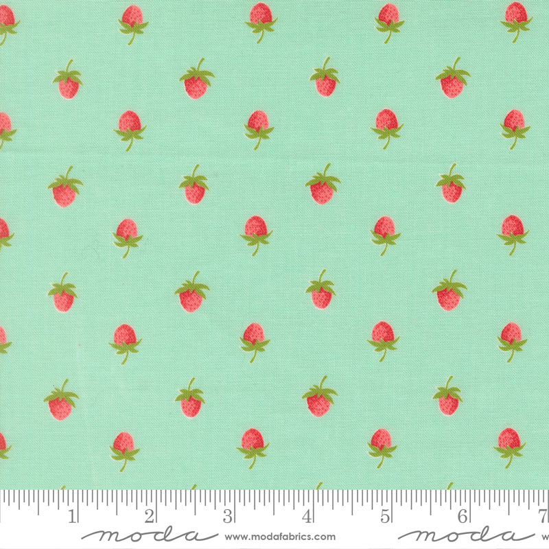 Bloomsberry - Aqua