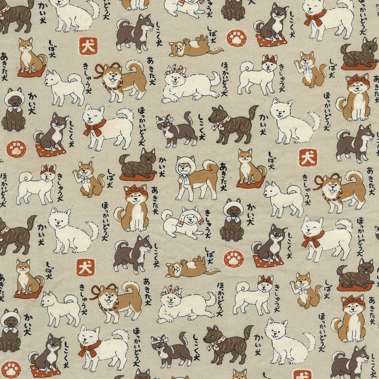 ANIMAL DICTIONARY YPA 56030 1A OXFORD
