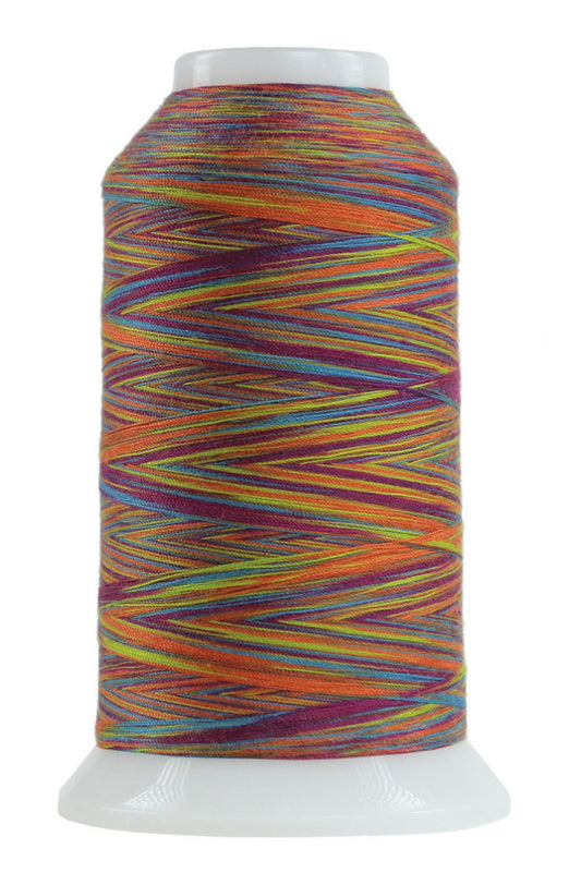 Omni Variegated Polyester Thread 40wt 2000yd