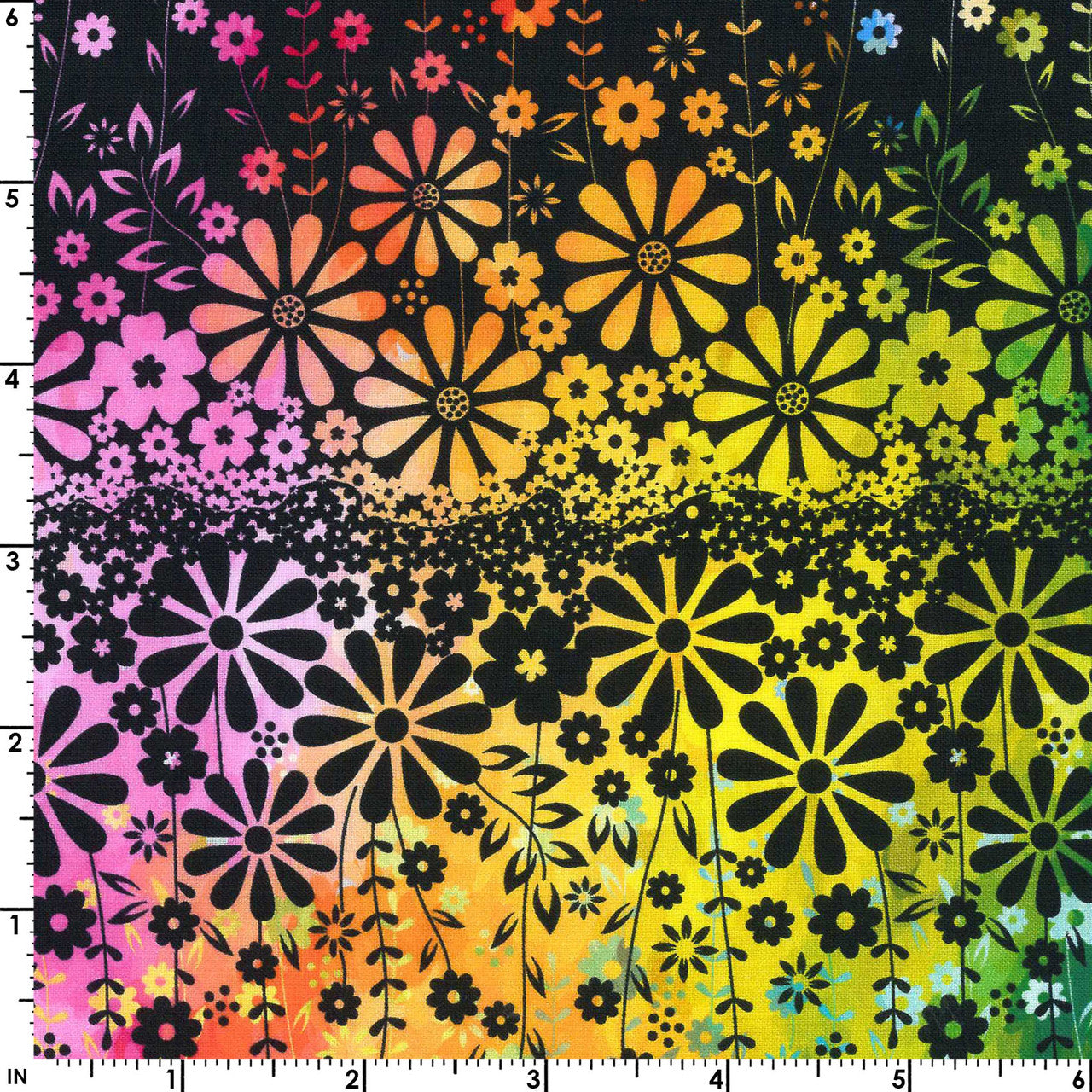 Felicity Border (Black)
