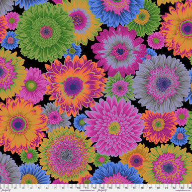 Gerbera Daisies - Dark