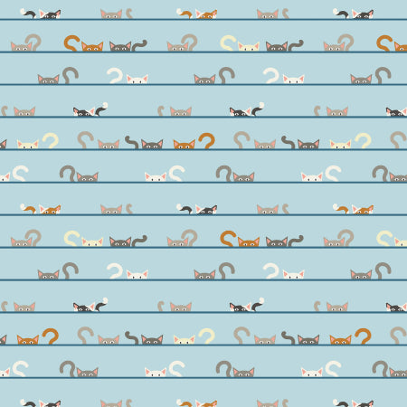 Kitty Kats - Kurious Kats - Here Kitty Kitty